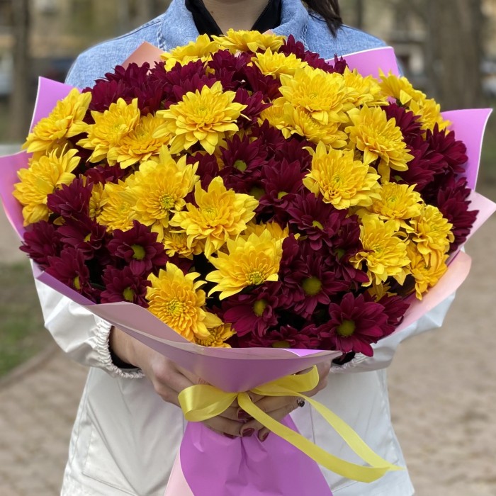 15 желтых и фиолетовых кустовых хризантем