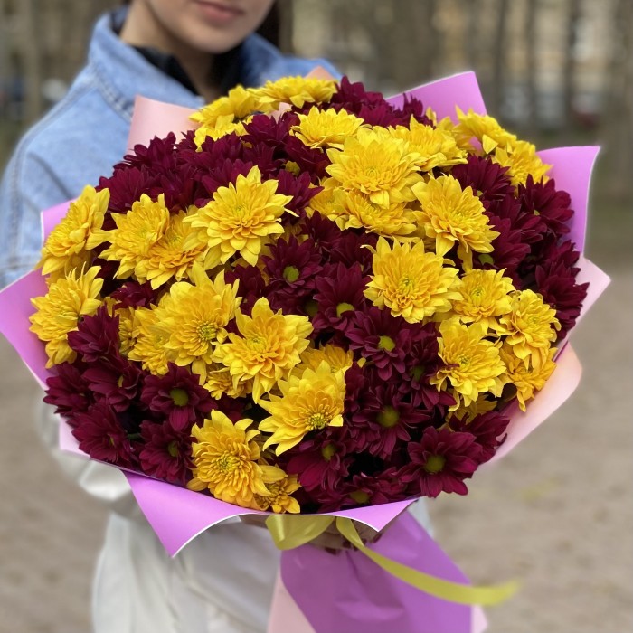 15 желтых и фиолетовых кустовых хризантем