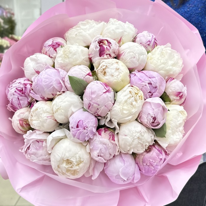 Нежный микс пионов