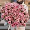 101 кустовая Роза Тралала 40 см