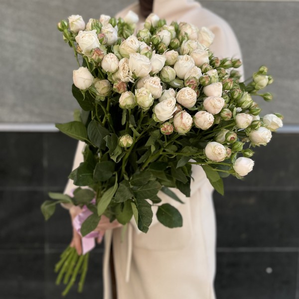 15 кустовых пионовидных Роз Принцесс Бомбастик 70 см