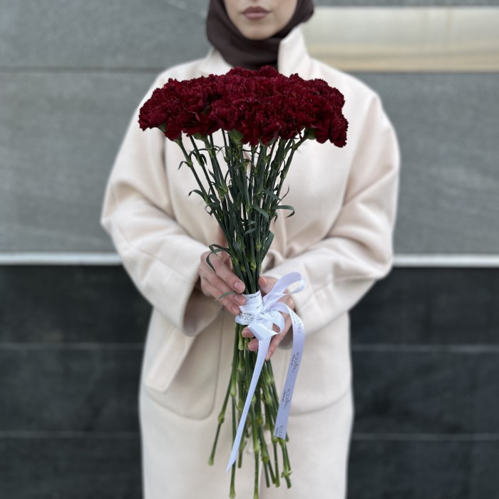 20 бордовых гвоздик