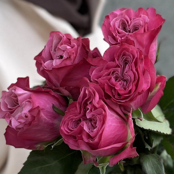 5 пионовидных сиреневых роз Кантри блюз 70 см