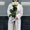 5 белых роз Мондиаль 70 см