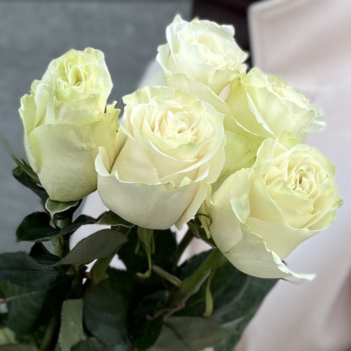 5 белых роз Мондиаль 70 см