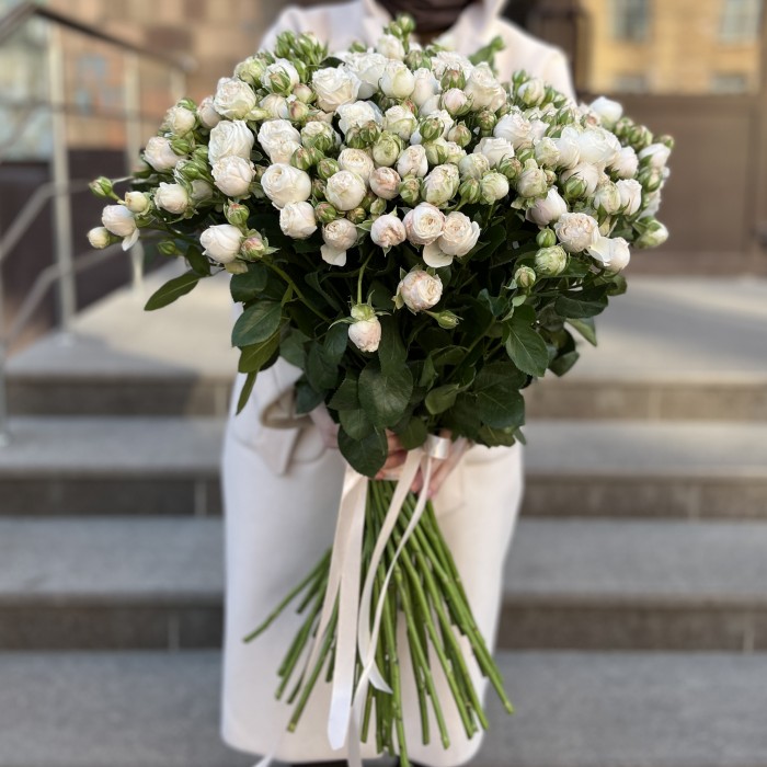 51 кустовая пионовидная Роза Принцесс Бомбастик 70 см