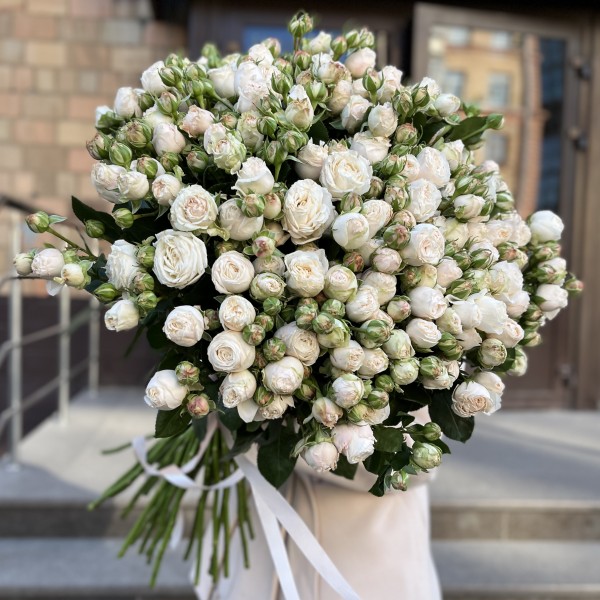 51 кустовая пионовидная Роза Принцесс Бомбастик 60 см