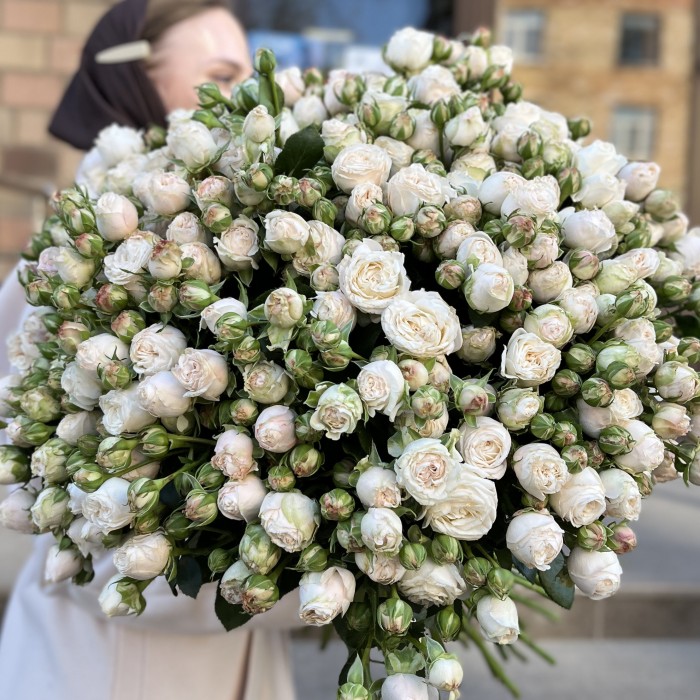 51 кустовая пионовидная Роза Принцесс Бомбастик 70 см