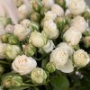 9 кустовых белых роз Принцесс Бомбастик 60 см