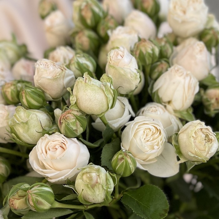 9 кустовых белых роз Принцесс Бомбастик 70 см