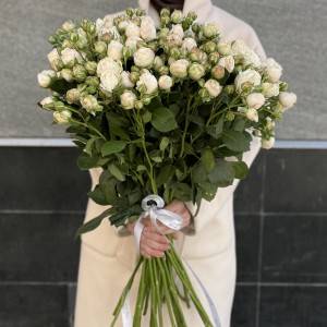 Кустовая пионовидная Роза Принцесс Бомбастик 70 см