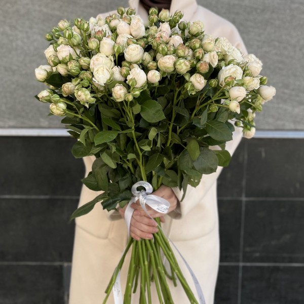 Кустовая пионовидная Роза Принцесс Бомбастик 70 см