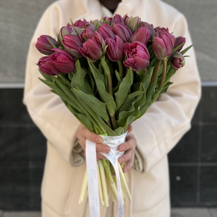 Тюльпан пионовидный фиолетовый