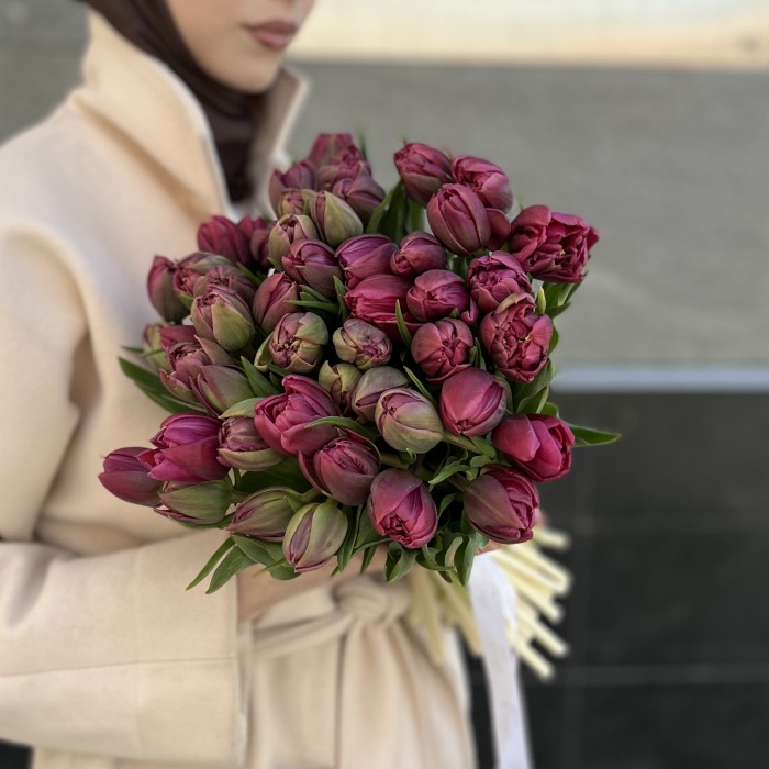 Тюльпан пионовидный фиолетовый