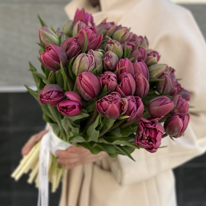 Тюльпан пионовидный фиолетовый