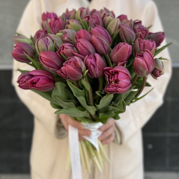 Тюльпан пионовидный фиолетовый