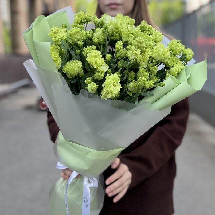 15 махровых зеленых эустом