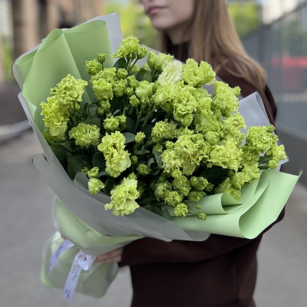 15 махровых зеленых эустом