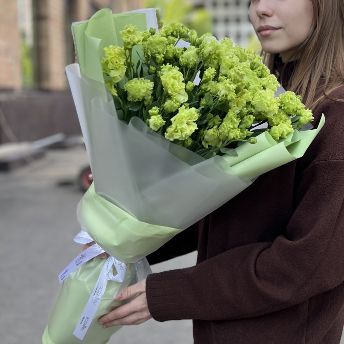 15 махровых зеленых эустом
