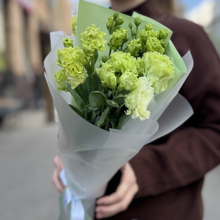 5 зеленых махровых эустом