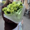 Букет из 11 зеленых эустом