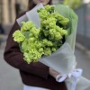 Букет из 7 махровых зеленых эустом
