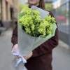 Букет из 7 махровых зеленых эустом