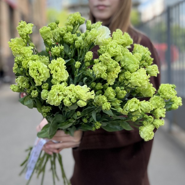 Эустома махровая зеленая