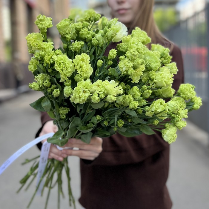 Эустома махровая зеленая