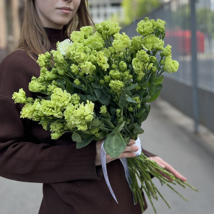 Эустома махровая зеленая