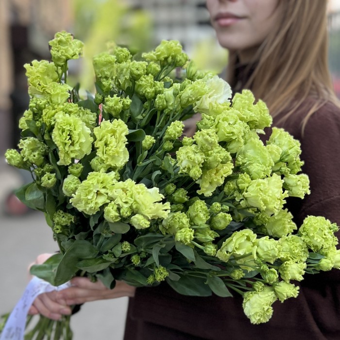Эустома махровая зеленая
