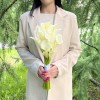 Букет невесты из 15 белых калл каскадный