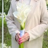 Букет невесты из 7 белых калл