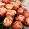 15 пионовидных роз Кахала 80 см