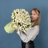 101 белый махровый тюльпан