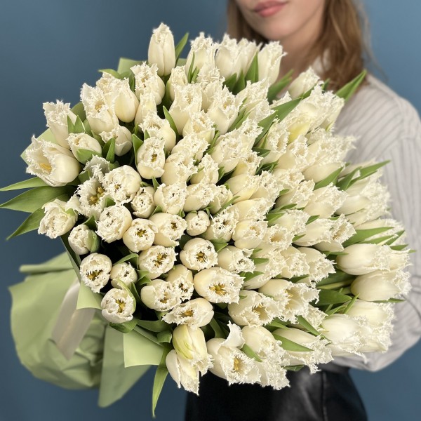 101 белый махровый тюльпан