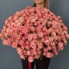 101 кустовая Роза Флиндерс Лейн 40 см