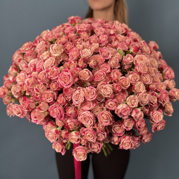 101 кустовая Роза Флиндерс Лейн 40 см