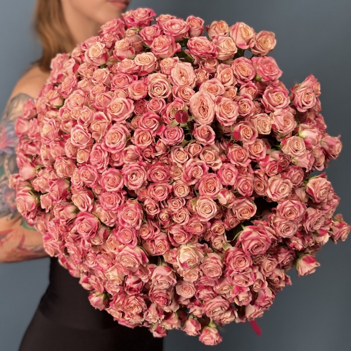 101 кустовая Роза Флиндерс Лейн 40 см