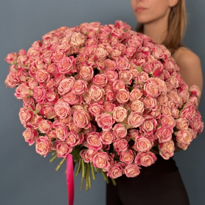 101 кустовая Роза Флиндерс Лейн 40 см