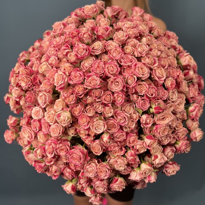 101 кустовая Роза Флиндерс Лейн 40 см