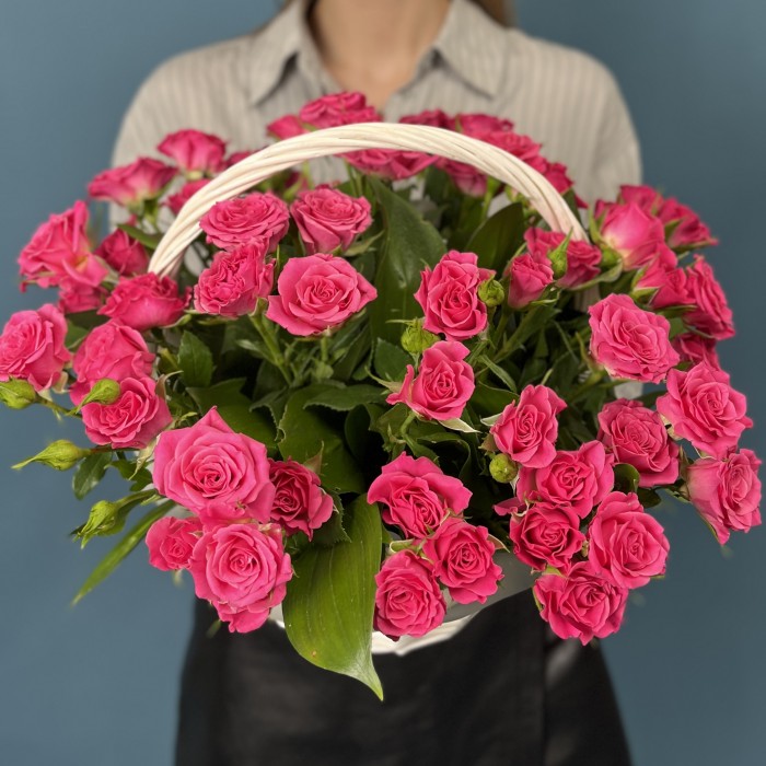 15 кустовых малиновых роз Глория в корзине