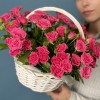 15 кустовых малиновых роз Глория в корзине