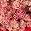 25 кустовых роз Флиндерс Лейн 40 см
