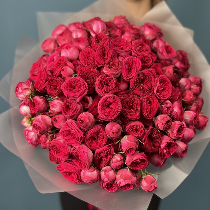 51 кустовая пионовидная роза Роял трендсеттер 40 см