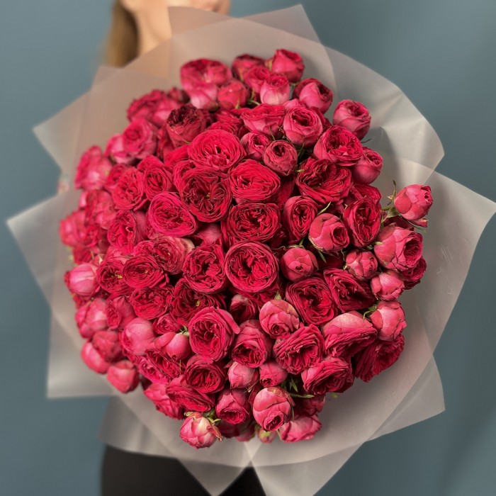 51 кустовая пионовидная роза Роял трендсеттер 40 см