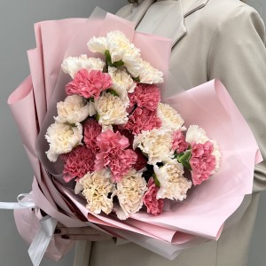 25 розовых и персиковых гвоздик микс