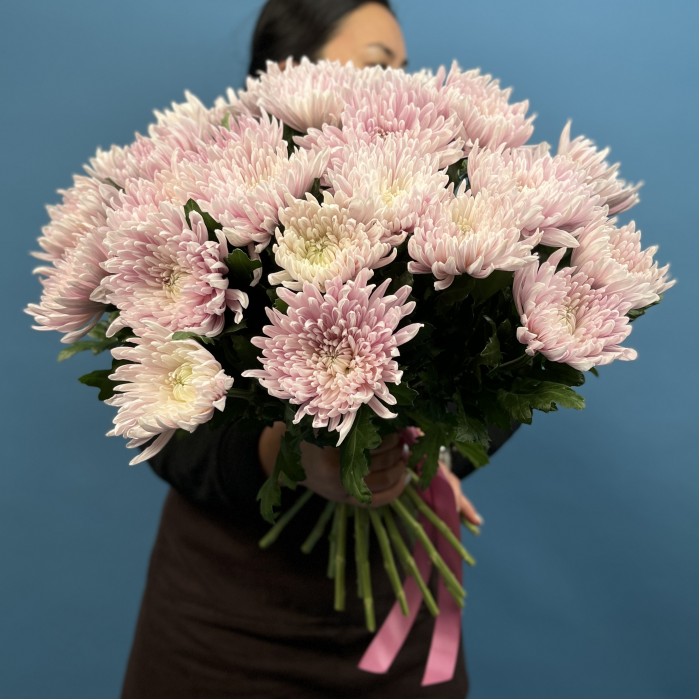 Хризантема Сиреневая Резюме