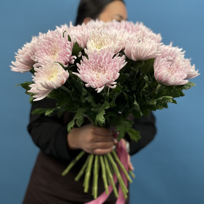 Хризантема Сиреневая Резюме