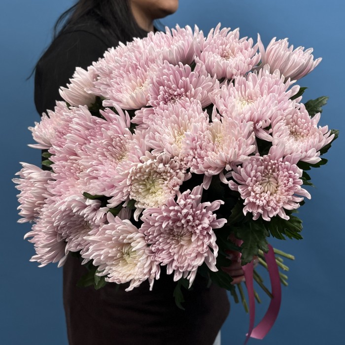 Хризантема Сиреневая Резюме